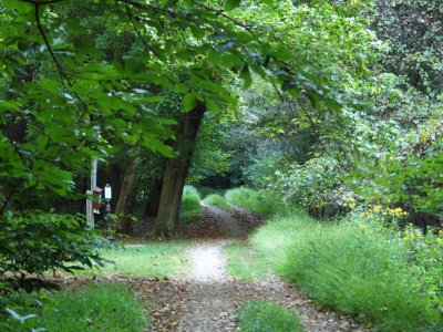 The trail and a camping site