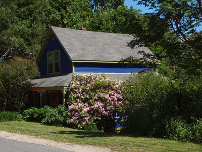 The blue house, Peaks Island