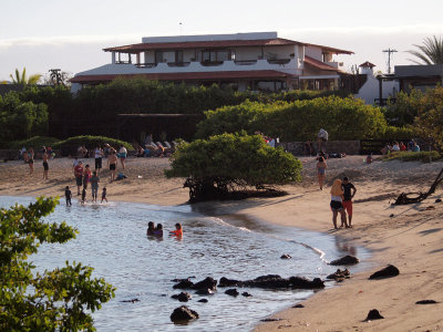 The Finch Bay Hotel