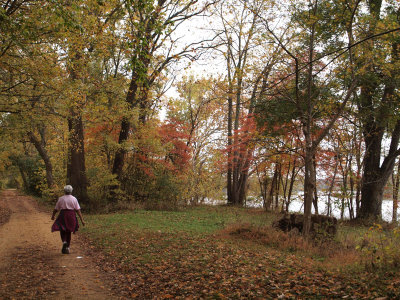 A Fall scene on the trail