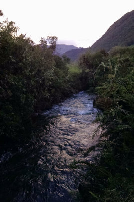 Papallacta river late in the evening