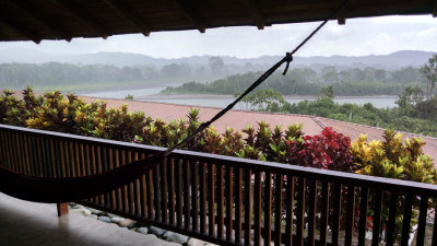 First views from Cabin in Casa Del Suizo, Equatorial Ecuador