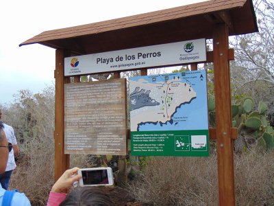 The area of Santa Cruz Island that we were exploring in the Galapagos