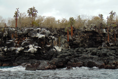 Cliffs at Playa de los Perros, Galapagos Islands