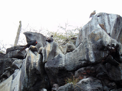 Cliffs at Playa de los Perros, Galapagos Islands