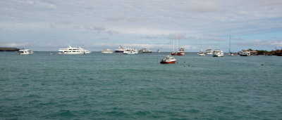 Boats in the bay at Puerto Ayora, Galapagos Islands