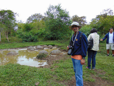 The mud pit for the tortoises, Santa Cruz Island, Galapagos