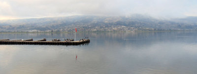 g10/55/529055/3/166911843.bFtaEZAR.jpg