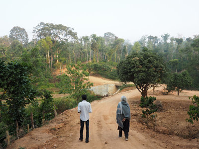 Morning walk in Harley Estate, Sakleshpur, Karnataka