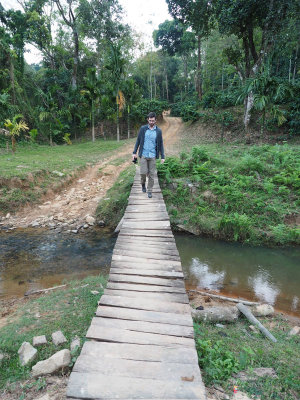 Crossing the stream, Harley, Estate, Karnataka