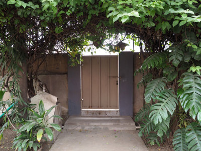 Front gate at home, Chennai