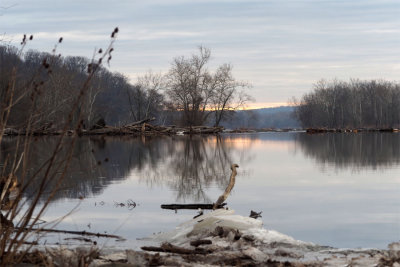 Jan 21 - Panorama - Dam 2 area on the Potomac