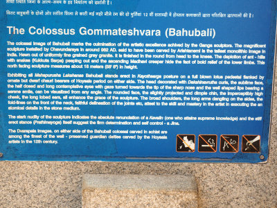 About the Gommateshwara statue