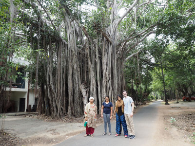 Under the banyan tree in the IIT campus, Chennai