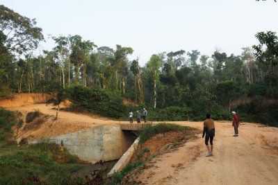 The morning walk