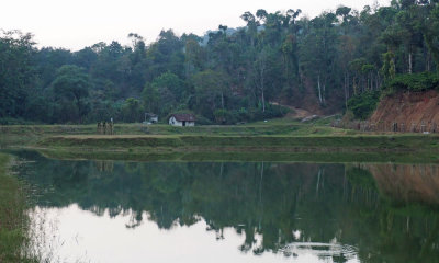 A lake in Harley Estate, Sakleshpur