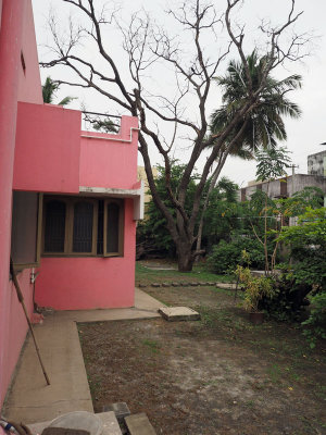 The side of our house in Chennai