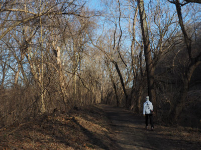 Early morning on the trail