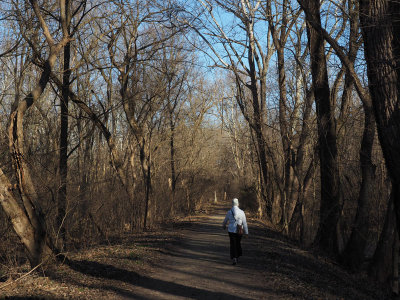 On the trail