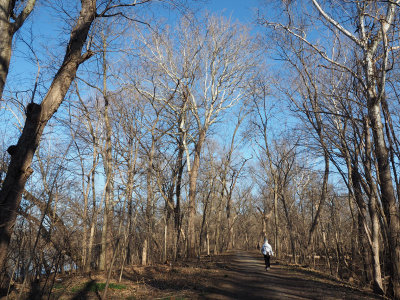 On the trail