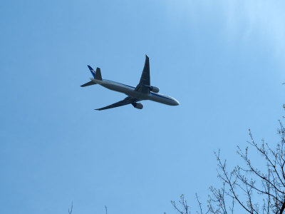 ANA Boeing 777 on its way to Dulles airport over the trail