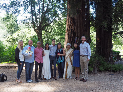 Families under the redwoods