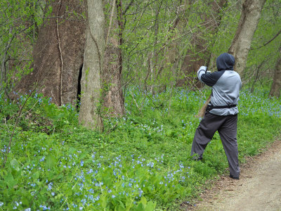 Taking pictures