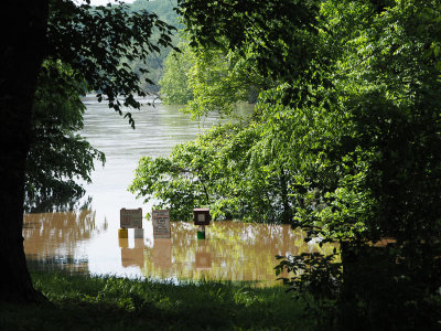 The flooding at Noland Ferry