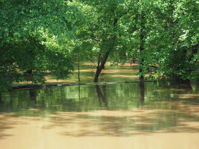 Flooded beside the trail!