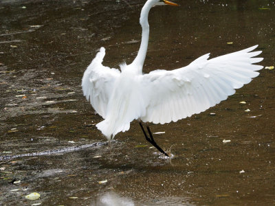 Sticking the landing!