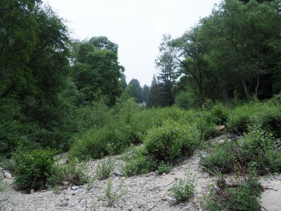 Section of the San Lorenzo river bed that was dry