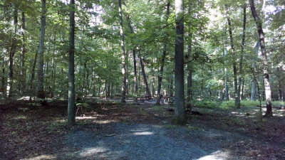 Aug 15th - Picnic tables at Marsden Tract