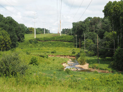 Passing under some power lines on the Muddy Branch Trail