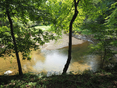 The Muddy Branch creek below us