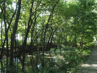 Aug 23rd - On my bicycle headed to Brunswick from Whites Ferry