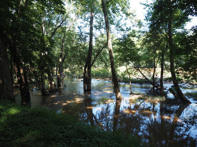 High waters in the river