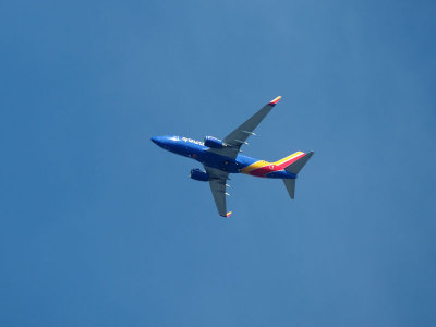 Southwest Airlines jet over Forest Park, St. Louis