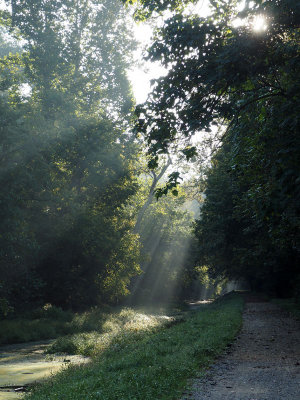 Sept 19th - Morning light, from my bike