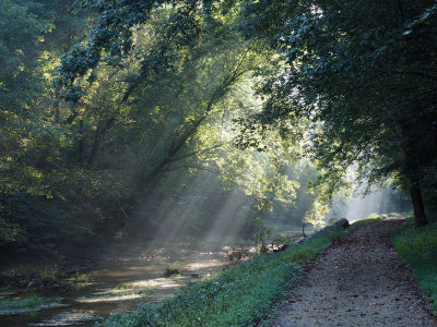 Morning light, from my bike, on the towpath