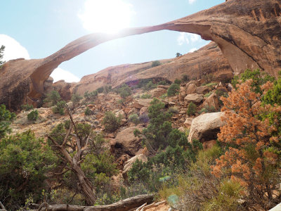 Arches National Park - Landscape Arch