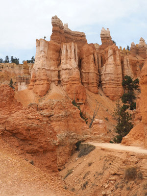 On the floor of the canyon at Bryce NP