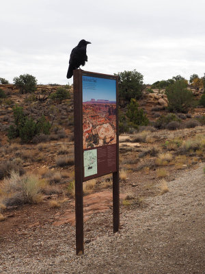 Sign for Slickrock trail, Needles District, Canyonlands NP