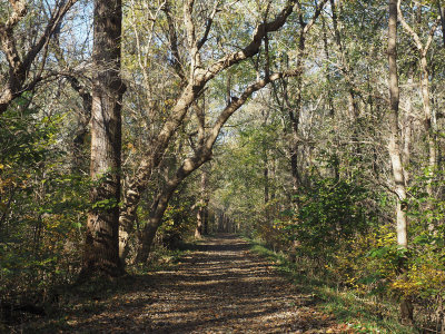 Nov 4th - The trail nears Riley's lock