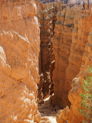 Bryce Canyon NP - We climbed Wall Street on the Navajo trail
