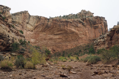 Giant amphitheater like rock formation in the Grand Wash in Capitol Reef National Park