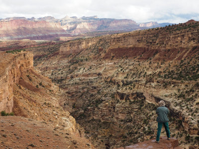 Capitol Reef National Park