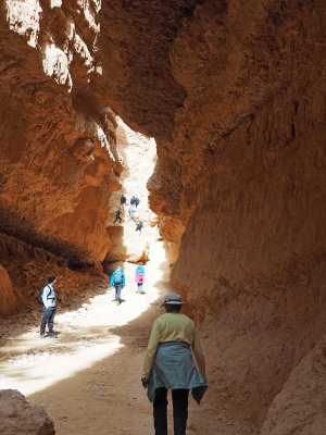 Bryce Canyon NP - Approaching the climb up Wall Street on the Navajo Trail