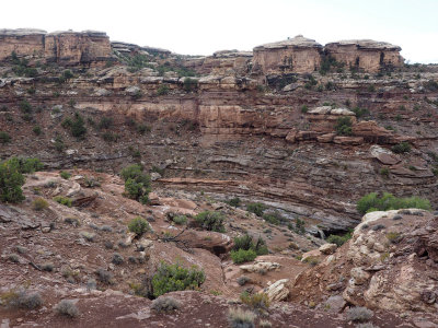 Looking into Big Spring Canyon, Needles District of Canyonland NP
