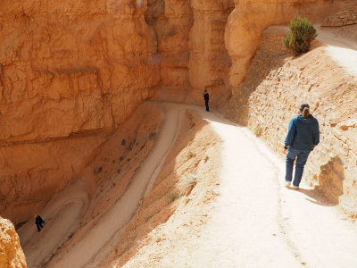 The switchbacks on Wall Street, Navajo Trail, Bryce Canyon NP