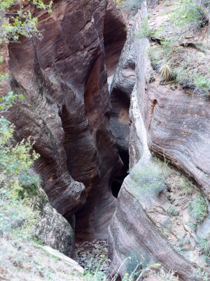 Zion NP - Looking for Echo Slot Canyon on the East Rim Trail